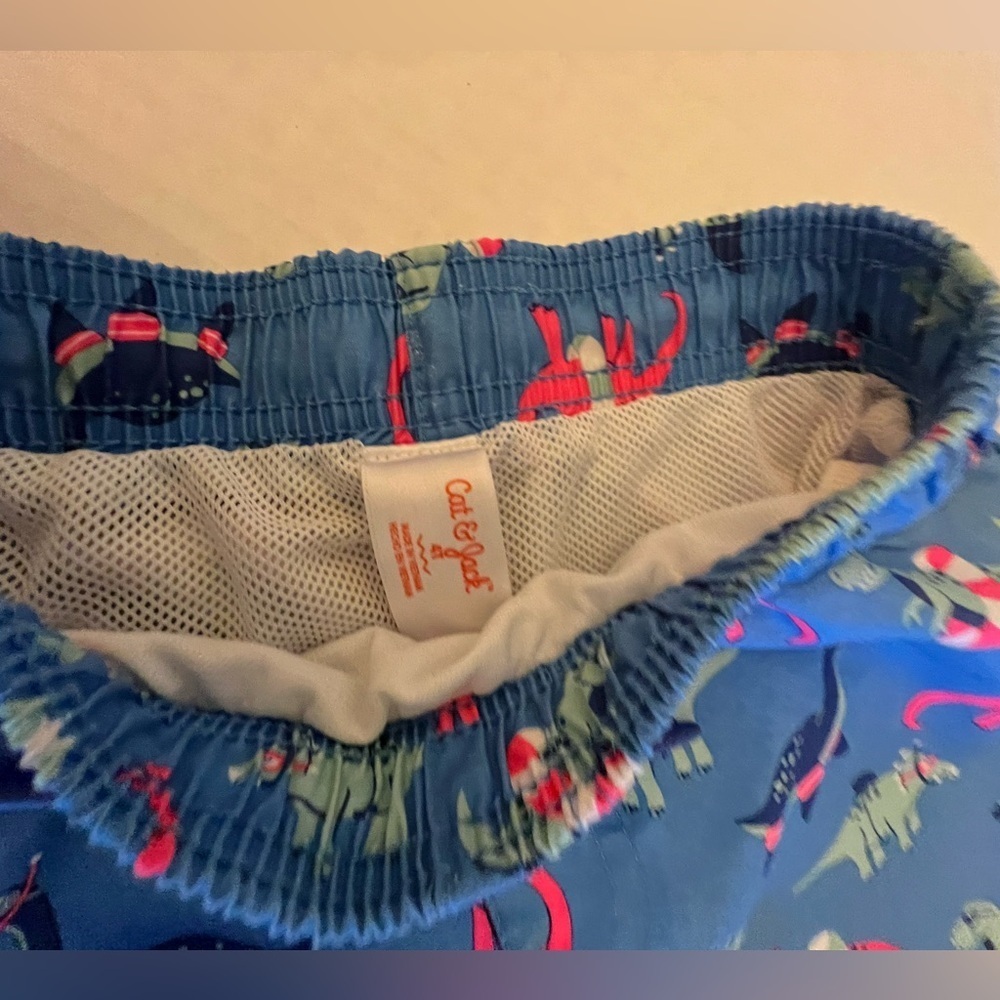 CAT & JACK UNISEX SHORTS WITH TRUNKS ATTACHED.  SIZE 4T - Picture 7 of 7